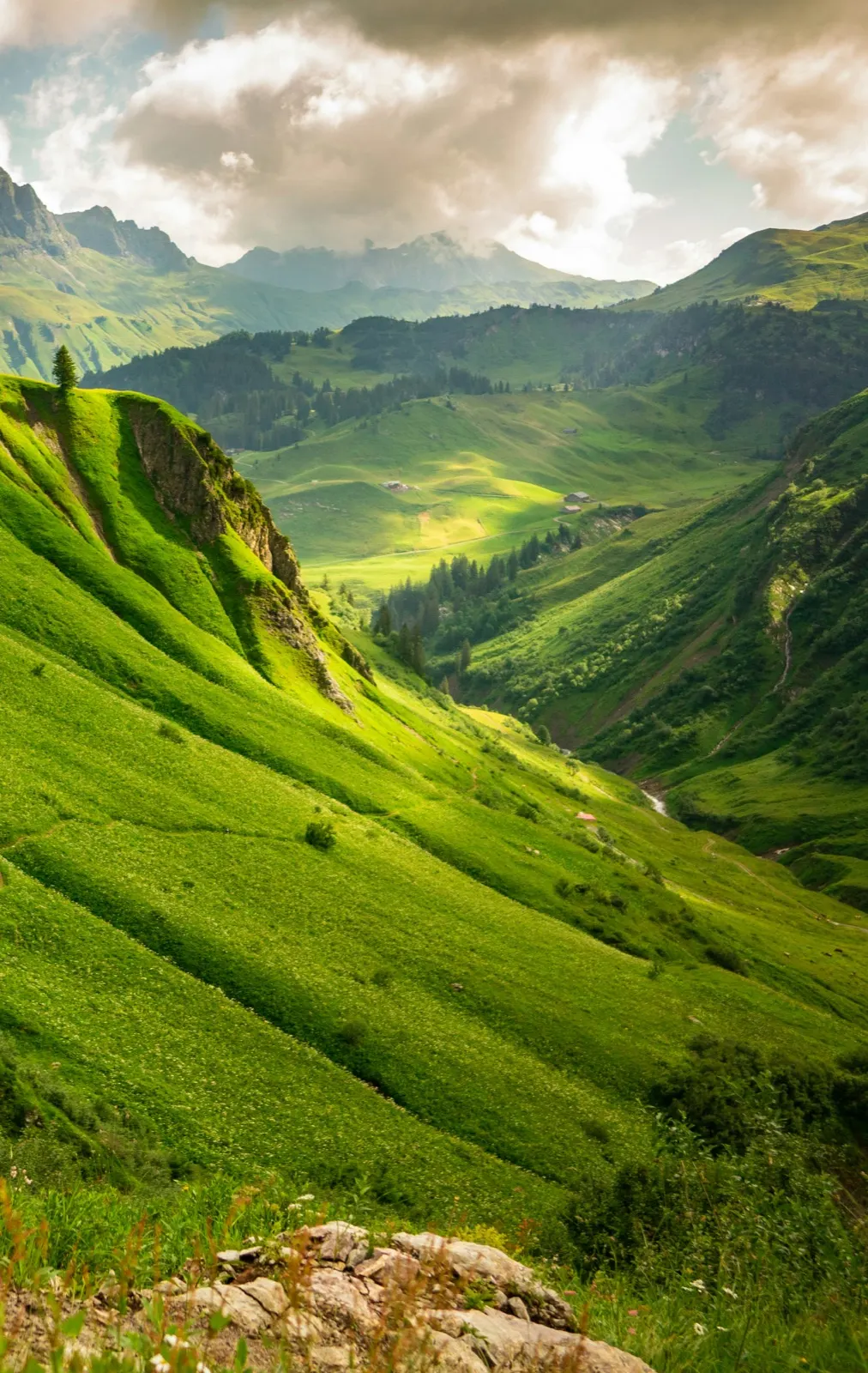 An open landscape at golden hour